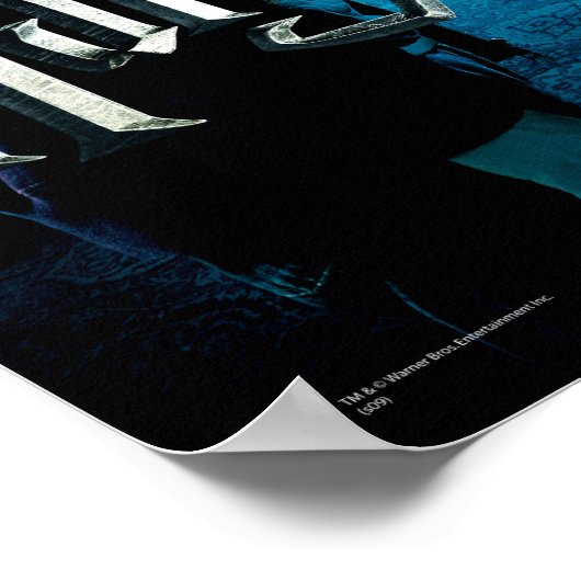 ハリーとジニー1 ポスター (角)