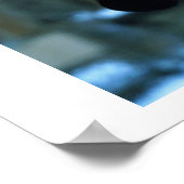 ハリーとヘドウィグ2 ポスター (角)