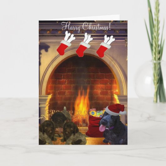 ハリーのクリスマス シーズンカード (正面)