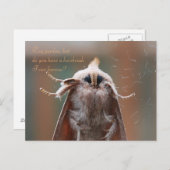 ハリーザ・ヘアリーモスのはがき ポストカード (正面/裏面)