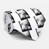 ハリーポッターの傷跡の犬の白いピットブル ネクタイ (ロール)