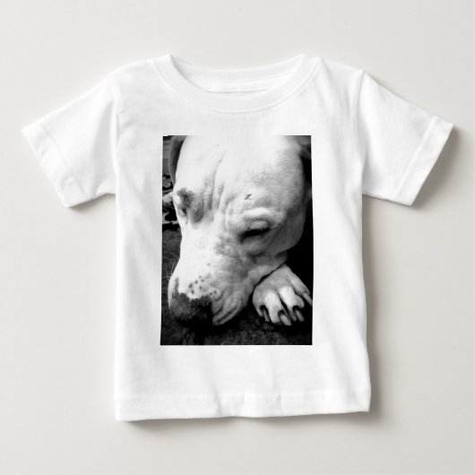 ハリーポッターの傷跡の犬の白いピットブル ベビーTシャツ (正面)