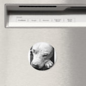 ハリーポッターの傷跡の犬の白いピットブル マグネット (インサイチュ (食洗機))