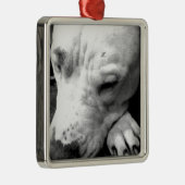 ハリーポッターの傷跡の犬の白いピットブル メタルオーナメント (右)