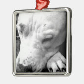 ハリーポッターの傷跡の犬の白いピットブル メタルオーナメント (左)