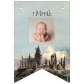 ハリーポッター1st誕生日12ヶ月フォトバントF バンティングフラッグ (第3の旗)