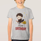 ハリーポッター™キャラクターマジカルアーチ誕生日 トライブレンドTシャツ (正面)