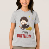 ハリーポッター™キャラクターマジカルアーチ誕生日 トライブレンドTシャツ (正面)