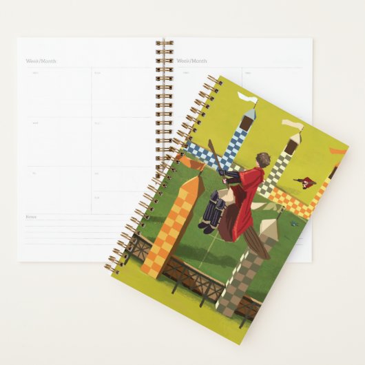 ハリーポッター™ゴールデンスニッチを求める プランナー手帳 (ディスプレー)