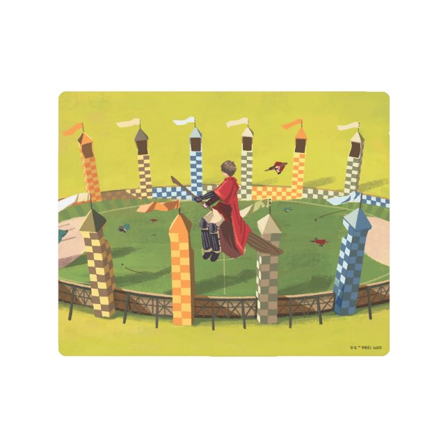 ハリーポッター™ゴールデンスニッチを求める メタルプリント (正面)