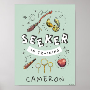 ハリーポッター™  トレーニングのシーカー ポスター