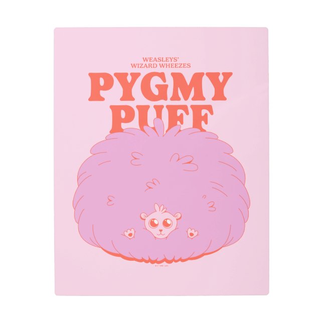 ハリーポッター™ | Weasley's Wizard Pygmy Puff メタルプリント (正面)