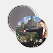 ハリー・ポッターとフェニックスのオーダー™ マグネット (正面/裏面)