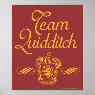 ハリー・ポッター  チームQUIDDITCH™ ポスター