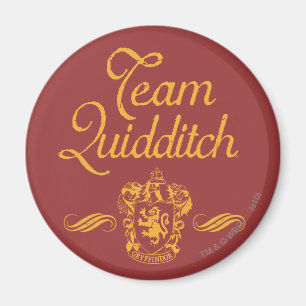 ハリー・ポッター チームQUIDDITCH™ マグネット