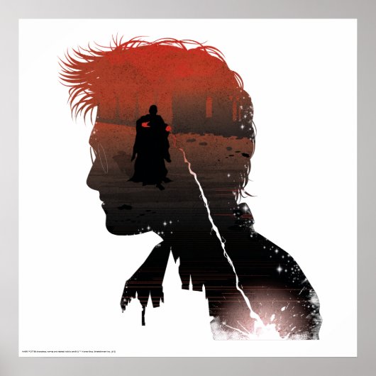 ハリー・ポッター |ハリー&ボルデモートウィザードデュエル ポスター (正面)