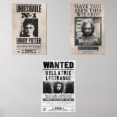 ハリー・ポッター™指名手配 (正面)