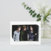 ハリー、RonおよびHermione 4 ポストカード (スタンド正面)