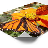 ハルの蝶 ポスター (角)