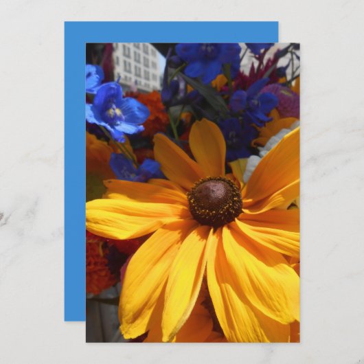 ハルセ (正面/裏面)