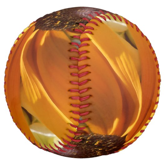 ハルセ ソフトボール (アングル)