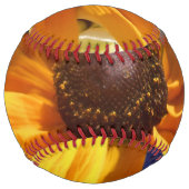 ハルセ ソフトボール (正面)