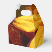 ハルセ フェイバーボックス (裏面サイド)