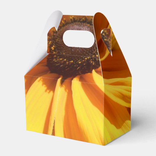 ハルセ フェイバーボックス (正面サイド)