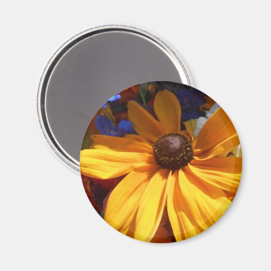 ハルセ マグネット (正面/裏面)