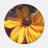 ハルセ マグネット (正面)