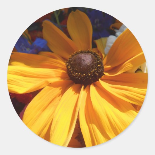 ハルセ ラウンドシール (正面)