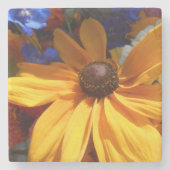 ハルゼ ストーンコースター (正面)