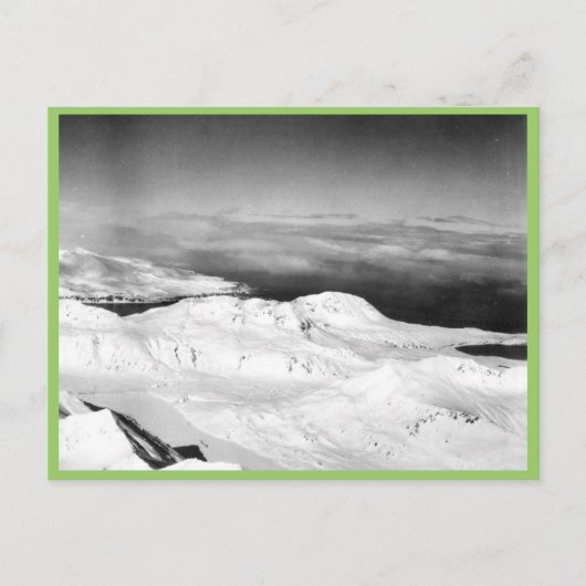 ハルターコレクション ポストカード (正面)