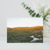 ハルダンゲルヴィッダ ノルウェー カード (スタンド正面)