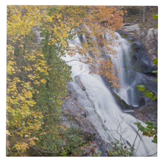 ハルドリバー滝 タイル (正面)