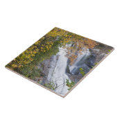 ハルドリバー滝 タイル (側面)