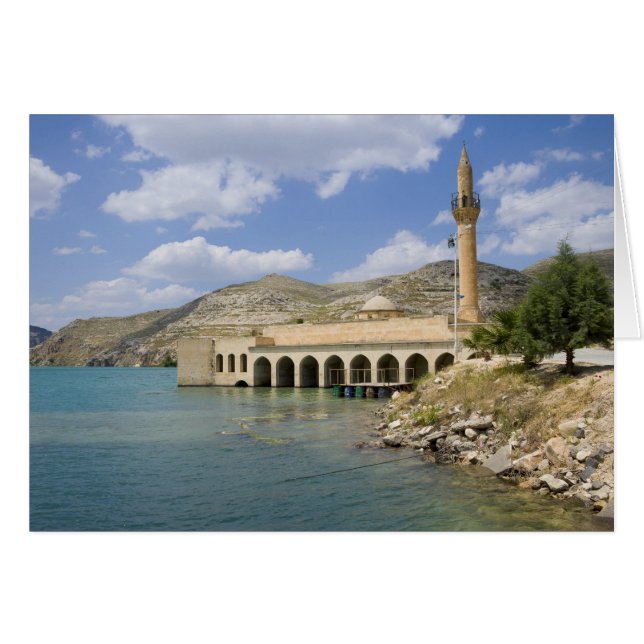 ハルフェティメルケズカミーセントラルモスク)の一部 (正面横)