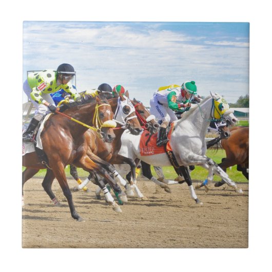 ハルプーン-フランキー·ペニントン タイル (正面)