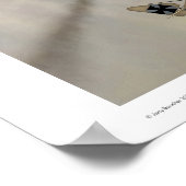 ハルベルシュタットD.III ポスター (角)