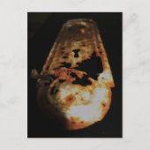 ハル ポストカード (正面)