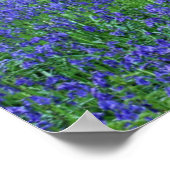 ハレの森 |ハレ（ベルギー） ポスター (角)