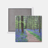 ハレの森 |ハレ(ベルギー) マグネット (正面/裏面)