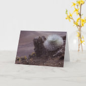 ハレアカラシルバーソード カード (黄色い花)