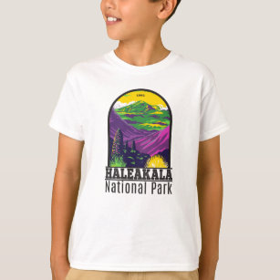ハレアカラ国立公園ハワイヴィンテージTシャツ Tシャツ