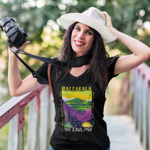 ハレアカラ国立公園ハワイ動揺してヴィンテージ Tシャツ