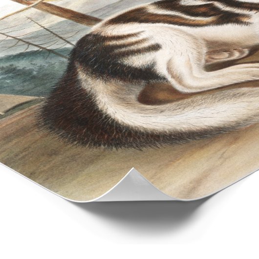 ハレインディアンドッグ(カニスファミリアリス)イラストレーション ポスター (角)