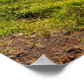 ハレオカネ本羽浦湾上空 ポスター (角)