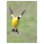 ハレベルの花の金魚 クリップボード (裏面)