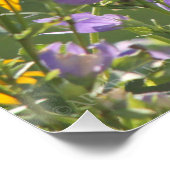 ハレベルの花の金魚 ポスター (コーナー)