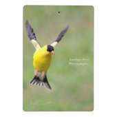 ハレベルの花の金魚 ミニクリップボード (裏面)